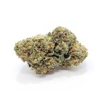 Buy Mexican Haze Feminized Seeds