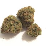 Buy Cracker Jack Marijuana Strain Online