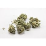 Buy Diesel Haze Automatic Seeds