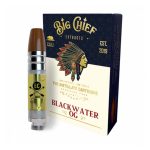 Big Chief Carts