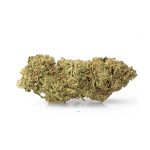 Buy Lemon strain