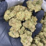 Bruce Banner Marijuana strain